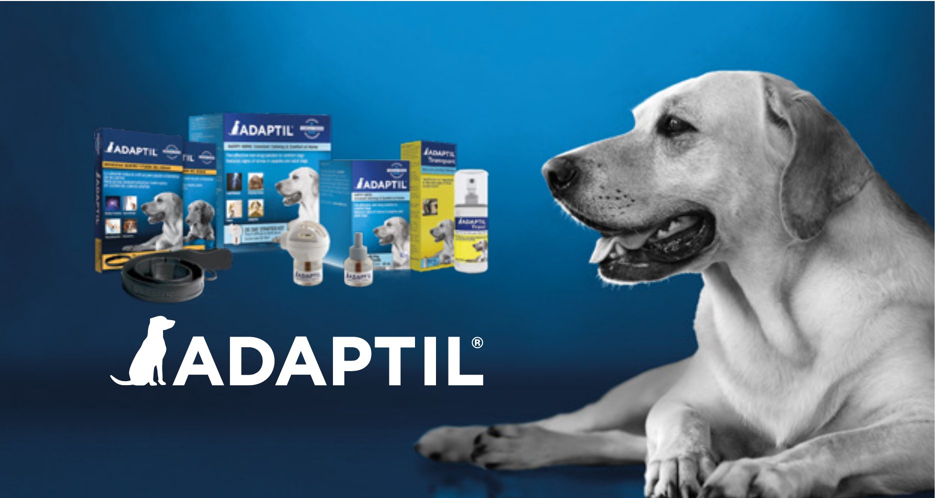Pieza oficial ADAPTIL® con perro en blanco y negro